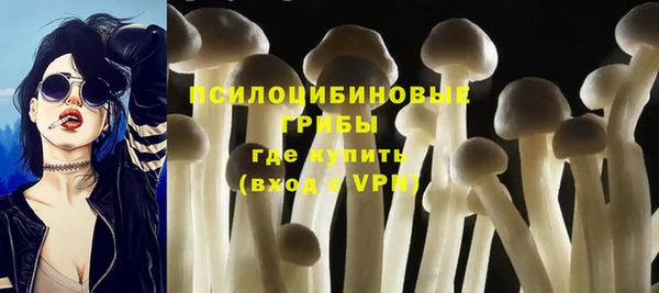 ешки Аркадак