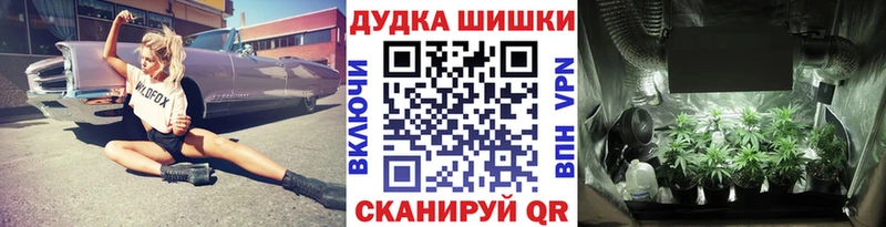 Конопля сатива Усть-Лабинск
